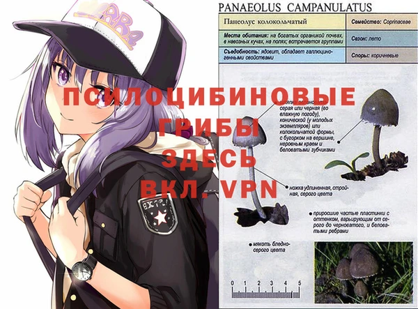 МДПВ Балабаново